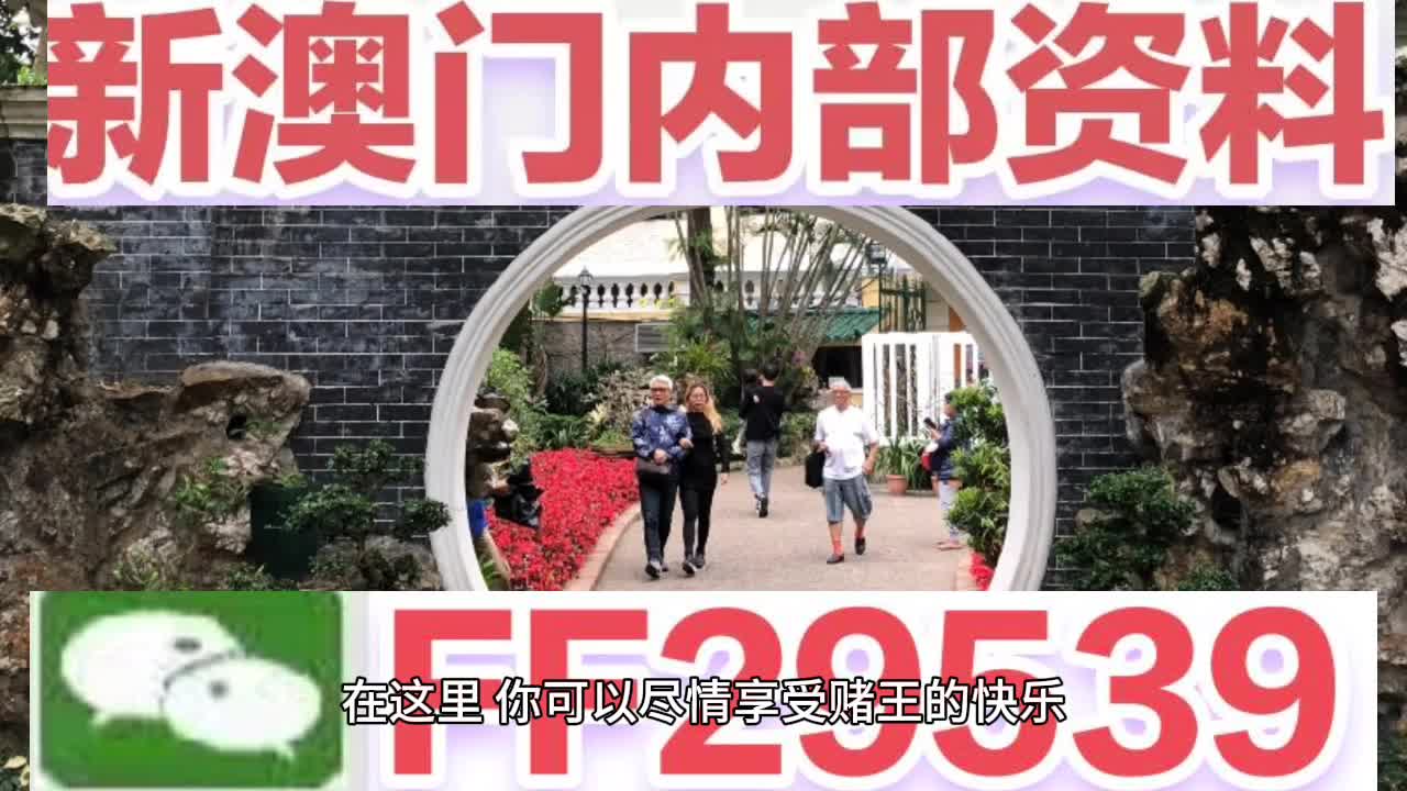 2025澳门今晚开特马开什么号码，全面释义、解释与落实